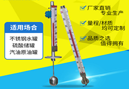 強(qiáng)酸液位計